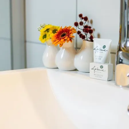 Alpen Beletage Mayrhofen